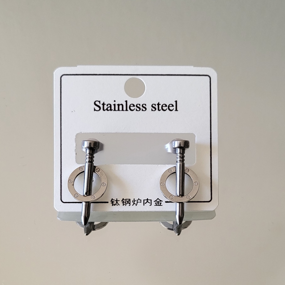 Stainless Steel Silver Earrings